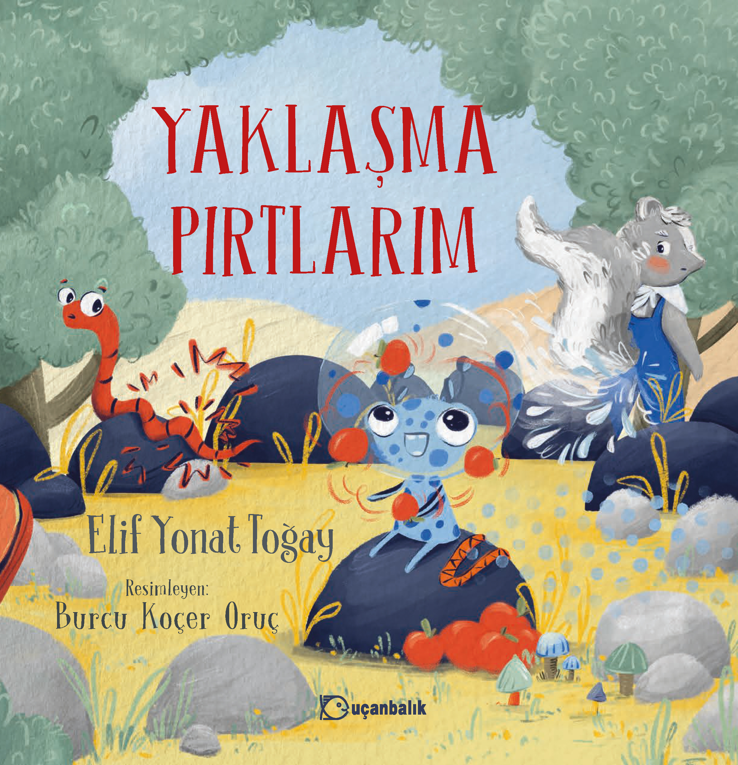 Yaklaşma Pırtlarım kitap kapağı